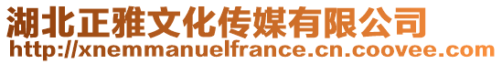 湖北正雅文化傳媒有限公司