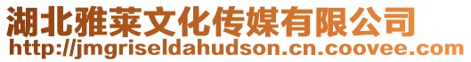 湖北雅萊文化傳媒有限公司