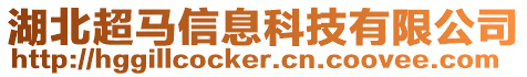 湖北超馬信息科技有限公司