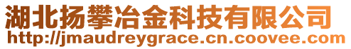 湖北揚(yáng)攀冶金科技有限公司