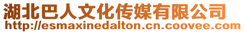湖北巴人文化傳媒有限公司