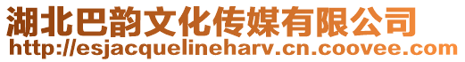 湖北巴韻文化傳媒有限公司