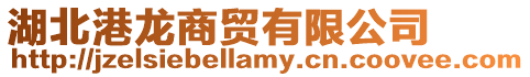 湖北港龍商貿有限公司