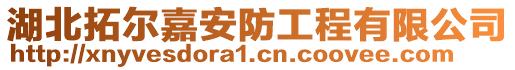 湖北拓爾嘉安防工程有限公司