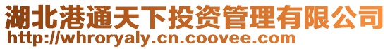 湖北港通天下投資管理有限公司