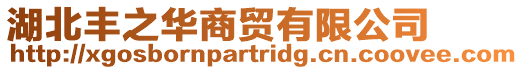 湖北豐之華商貿有限公司