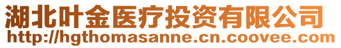 湖北葉金醫(yī)療投資有限公司