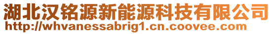 湖北漢銘源新能源科技有限公司
