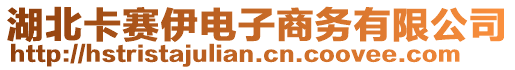 湖北卡賽伊電子商務有限公司