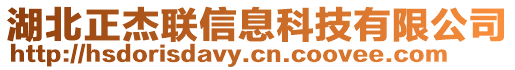 湖北正杰聯(lián)信息科技有限公司