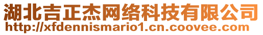 湖北吉正杰網(wǎng)絡(luò)科技有限公司