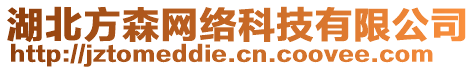 湖北方森網絡科技有限公司