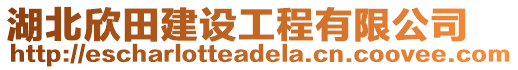 湖北欣田建設工程有限公司