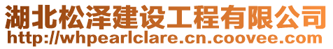 湖北松澤建設(shè)工程有限公司