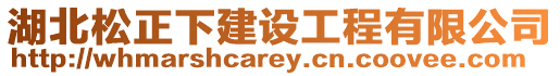 湖北松正下建設工程有限公司