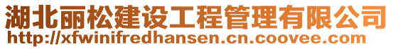湖北麗松建設工程管理有限公司