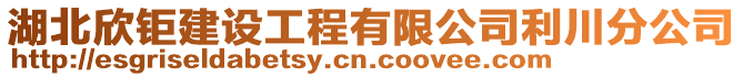 湖北欣鉅建設(shè)工程有限公司利川分公司