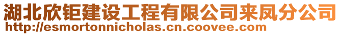 湖北欣钜建设工程有限公司来凤分公司