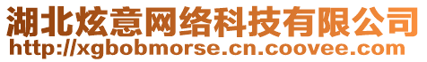 湖北炫意網絡科技有限公司