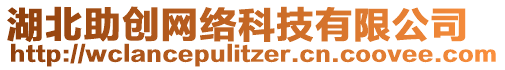 湖北助創(chuàng)網(wǎng)絡(luò)科技有限公司