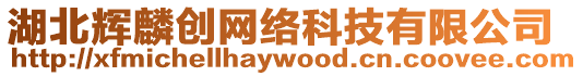 湖北輝麟創網絡科技有限公司