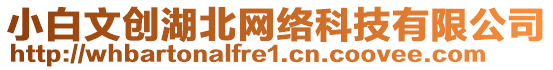 小白文創(chuàng)湖北網(wǎng)絡(luò)科技有限公司