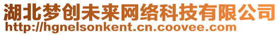 湖北夢創(chuàng)未來網(wǎng)絡科技有限公司