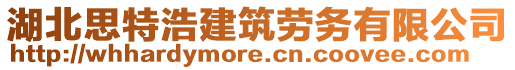 湖北思特浩建筑勞務(wù)有限公司