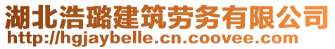 湖北浩璐建筑勞務有限公司