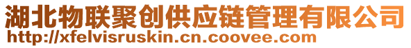 湖北物聯(lián)聚創(chuàng)供應(yīng)鏈管理有限公司