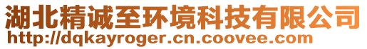 湖北精誠至環(huán)境科技有限公司