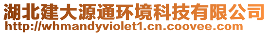 湖北建大源通環(huán)境科技有限公司