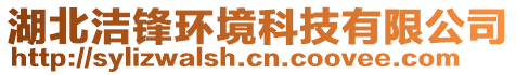 湖北潔鋒環境科技有限公司