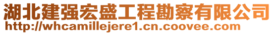 湖北建強宏盛工程勘察有限公司
