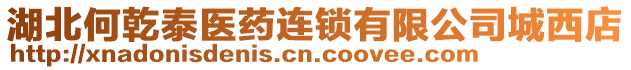 湖北何乾泰醫藥連鎖有限公司城西店