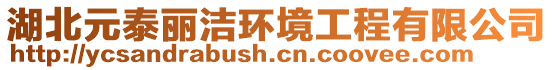 湖北元泰麗潔環境工程有限公司