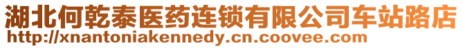 湖北何乾泰醫藥連鎖有限公司車站路店