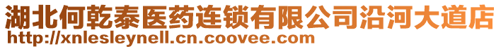 湖北何乾泰醫藥連鎖有限公司沿河大道店