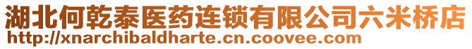 湖北何乾泰醫(yī)藥連鎖有限公司六米橋店