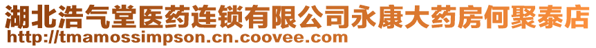 湖北浩氣堂醫(yī)藥連鎖有限公司永康大藥房何聚泰店