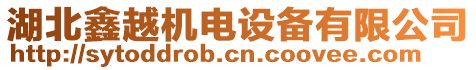 湖北鑫越機電設備有限公司