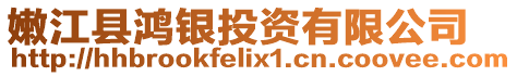 嫩江縣鴻銀投資有限公司