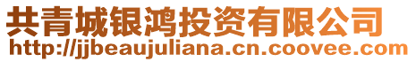 共青城銀鴻投資有限公司