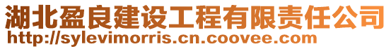 湖北盈良建設工程有限責任公司