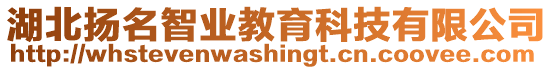 湖北揚(yáng)名智業(yè)教育科技有限公司