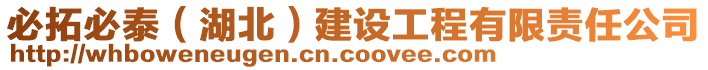 必拓必泰（湖北）建設(shè)工程有限責(zé)任公司