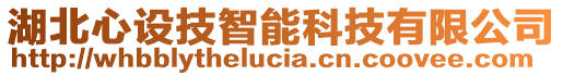 湖北心設(shè)技智能科技有限公司