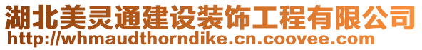 湖北美靈通建設(shè)裝飾工程有限公司