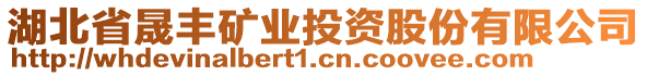 湖北省晟豐礦業(yè)投資股份有限公司