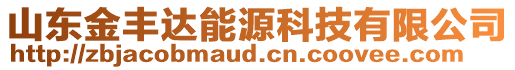 山东金丰达能源科技有限公司